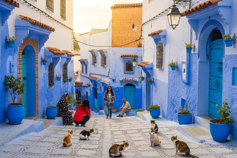 从丹吉尔出发：舍夫沙万一日旅行（含酒店接送）