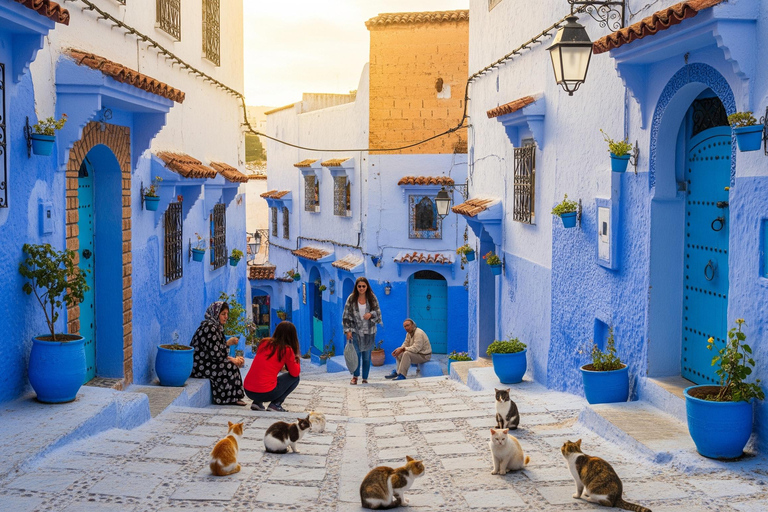 从丹吉尔出发：舍夫沙万一日旅行（含酒店接送）