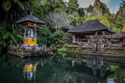 All-Inclusive Rice Terrace, Waterfall, and Temple Day Tour Rice Terrace, Waterfall, Monkey and Temple Without Ticket