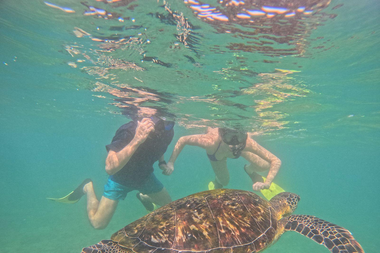 Mirissa: Thalaramba Beach Snorkeling Tour with Sea Turtles