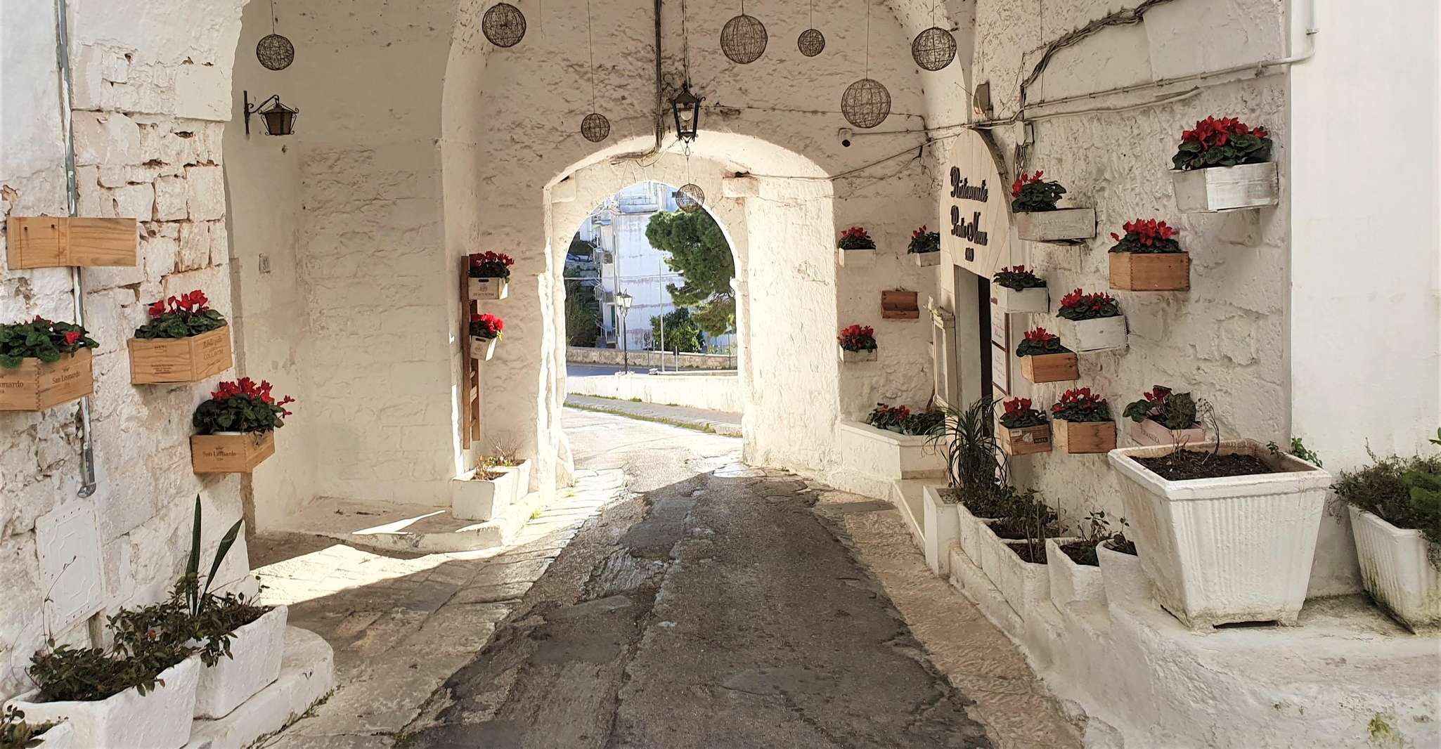 Ostuni: Alberobello, Locorotondo, Ostuni & Apulian brunch photo 10