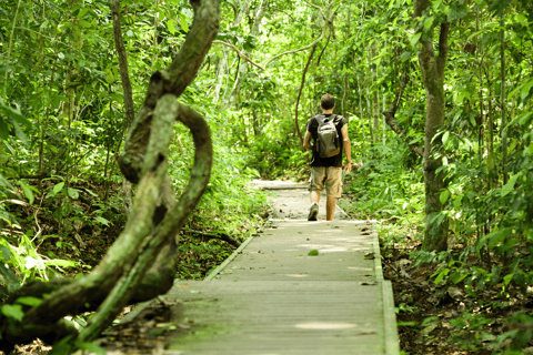 Kuala Lumpur: Taman Negara nationalpark Teras vattenfall