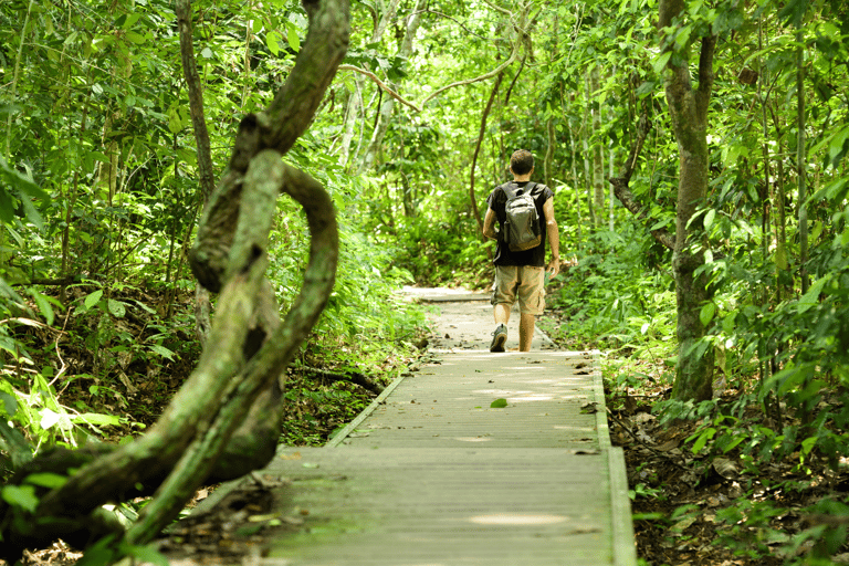 Kuala Lumpur: Parque Nacional de Taman Negara Cascada de Teras