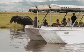 Chobe day trip with lunch: From Victoria Falls