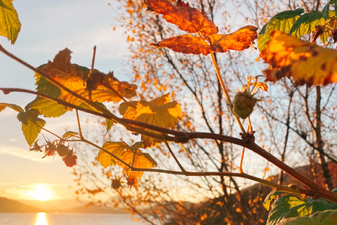 Tromsø: Guided Hiking Tour with Roundtrip Transfers