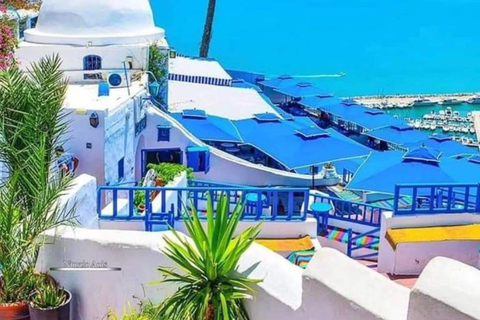 Tunis: Carthage & Sidi Bou Said Private Day Trip
