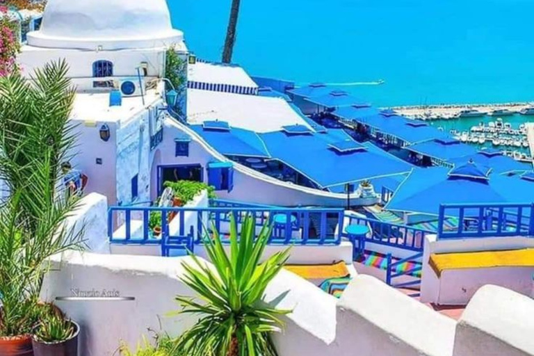 Tunis: Carthage & Sidi Bou Said Private Day Trip