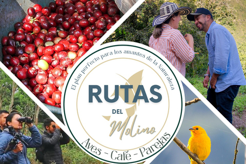 90 min de Monserrate: sabores do café, aves e cultura com guia localDescobre o encanto da Colômbia: Experiência de café e observação de aves perto de Bogotá