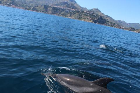 Taormina: Sunset Dolphin Tour by Catamaran with Aperitif