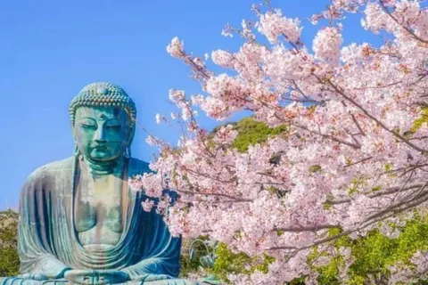 From Tokyo: Kamakura, Hachimangu, Enoshima Private Day Trip.