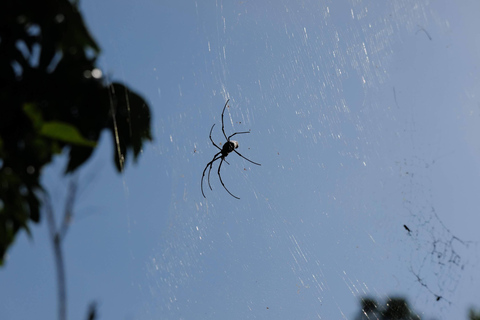 L&#039;esplorazione dell&#039;Outback di Krabi fino alla Piscina di Smeraldo e alla sorgente termale di Wareerak