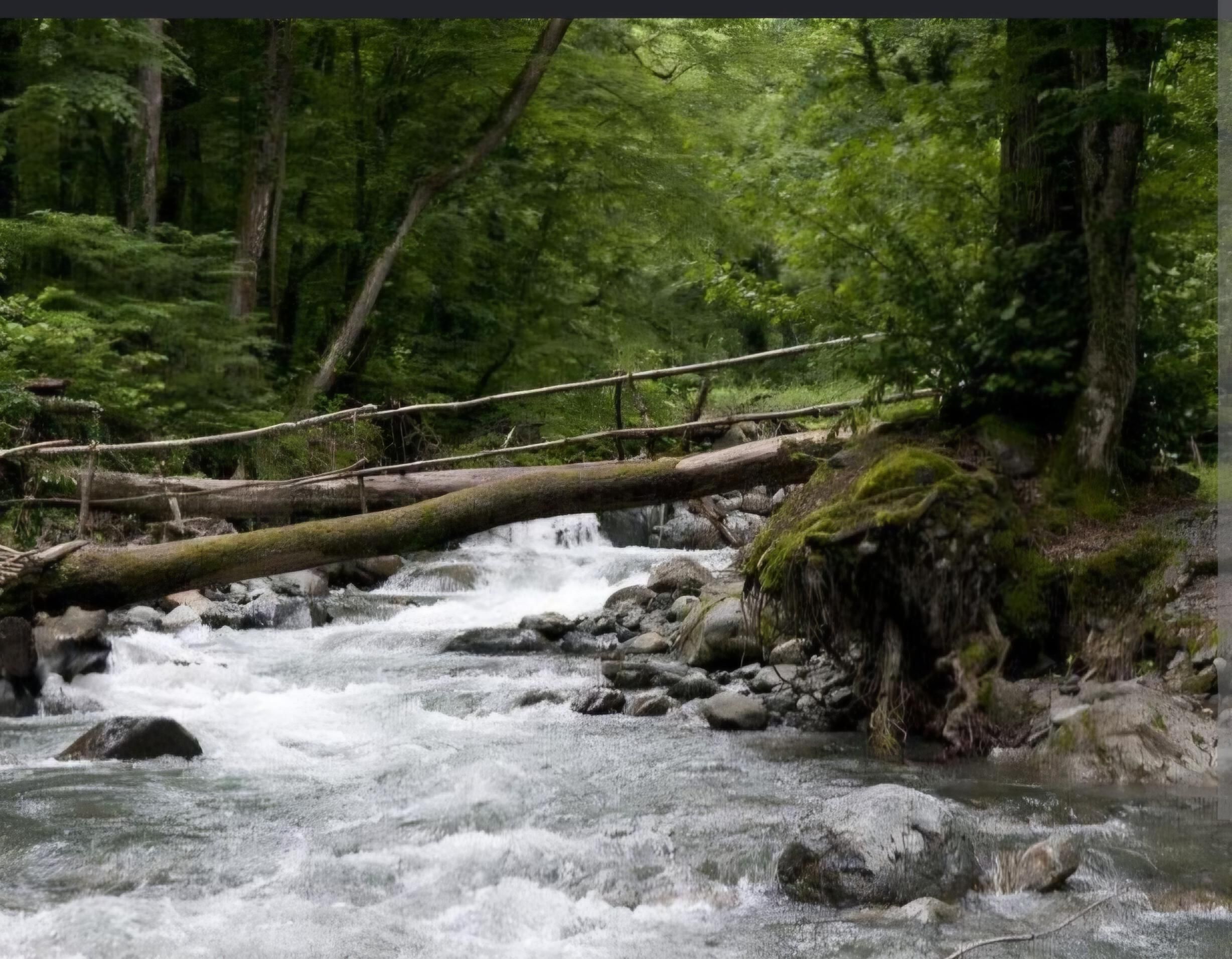 Kakheti: Lagodekhi-Natur, Flora & Wein mit Fahrer