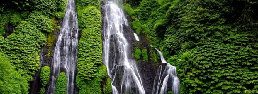 Visite des cascades du nord de Bali et des lacs jumeaux
