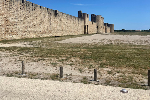 Von Montpellier aus: Camargue und Salzwiesen Geführte Tour