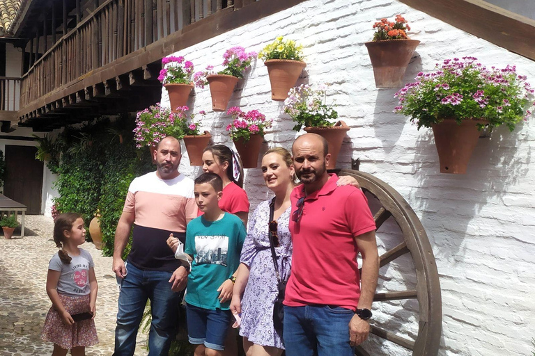 Córdoba Walking Tour: Experience the Passion of Flamenco