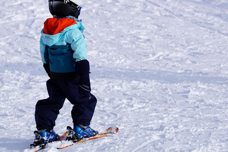 From Toulouse: Ski Day & VIP Transfer (Group of up to 6 people)