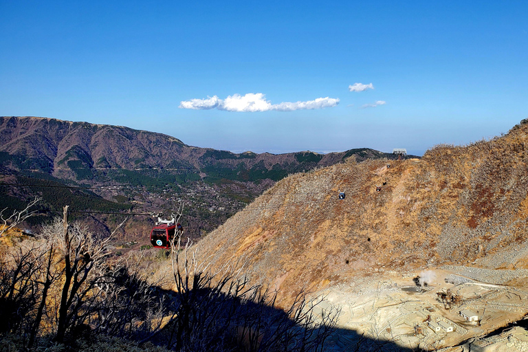 Mount Fuji & Hakone Full-Day Private Tour (Customizable) Hakone & Mount Fuji Tour w/English speaking guide