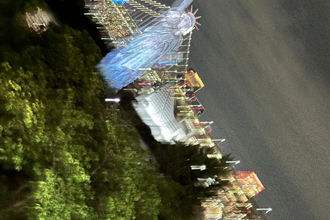 Tokyo: tour notturno privato con passaggio in hotel