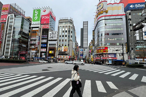 Tour privato di Tokyo in auto con guida (tour in auto)Tour in auto di 4 ore