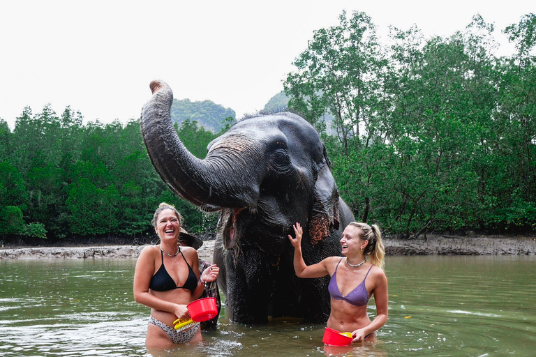 Krabi: Sessione di bagno con gli elefanti al Rifugio degli Elefanti di KrabiKrabi: sessione di bagno con gli elefanti al Krabi Elephant Shelter