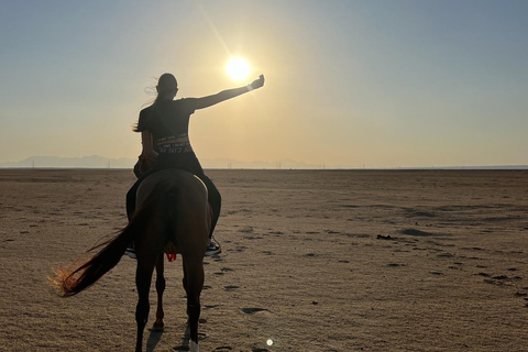 Hurghada: Horse Riding in the Desert & Beach Experience 1 HR Desert Horse Riding Experience without transfer