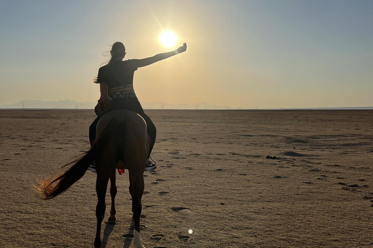 Hurghada: Horse Riding in the Desert & Beach Experience 1 HR Desert Horse Riding Experience without transfer