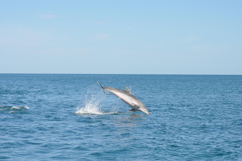 Djerba: Half-Day Boat Trip, Dolphin Watching, Swimming, and Lunch