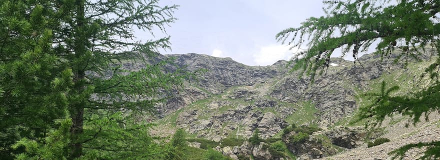 Suisse : safari privé dans la nature avec un guide local. Découvrez les Alpes, les lacs et bien plus encore.