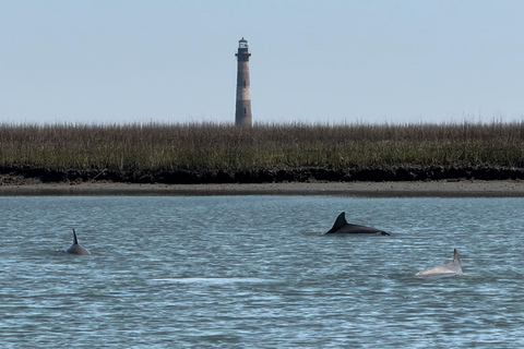 2 uur privé boottocht op de rivier met stop bij Morris Island