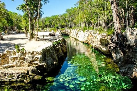 Riviera Maya: Full Day Tour to 5 Magical Cenotes