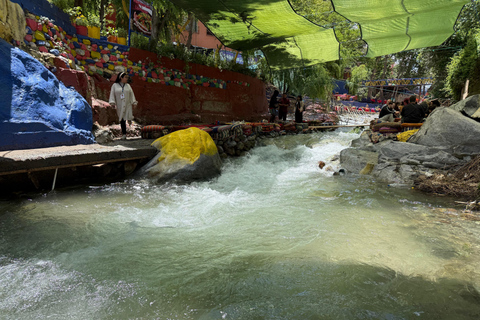 Marrakech:Atlas Mountains, Ourika Waterfall with guide+Lunch Marrakech:Atlas Mountains, Ourika Waterfall with Guide+Lunch