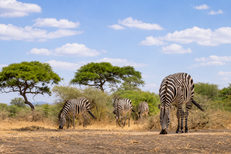 Nairobi: 3 days Lake bogoria, baringo & nakuru private tour