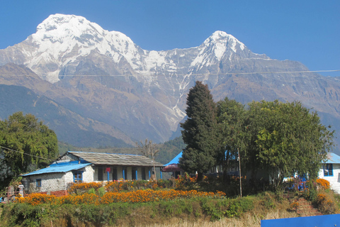 Pokhara: Ghandruk Village Guided Hike with Hotel Pickup