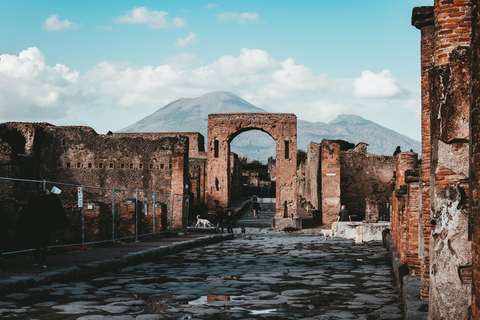 Da Napoli: Tour di Pompei e del Vesuvio con pranzoTour di gruppo regolare