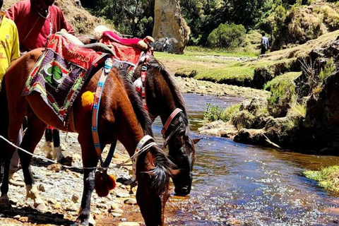 Wenchi Crater Lake Adventure: Fish, Ride & Play with Lunch