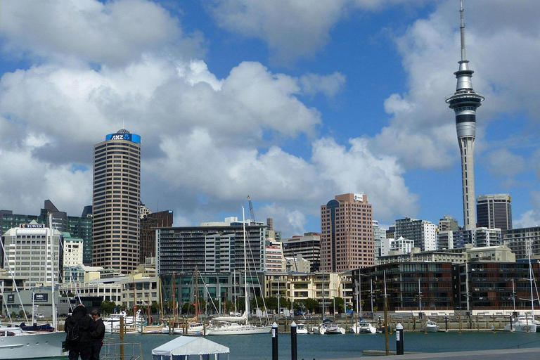 Walk the Heart of Auckland: A Queen Street Discovery Tour