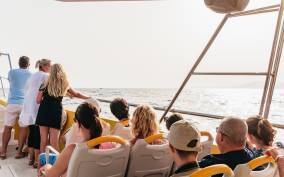 Lanzarote: 2.5-Hour Sunset and Dolphins Cruise