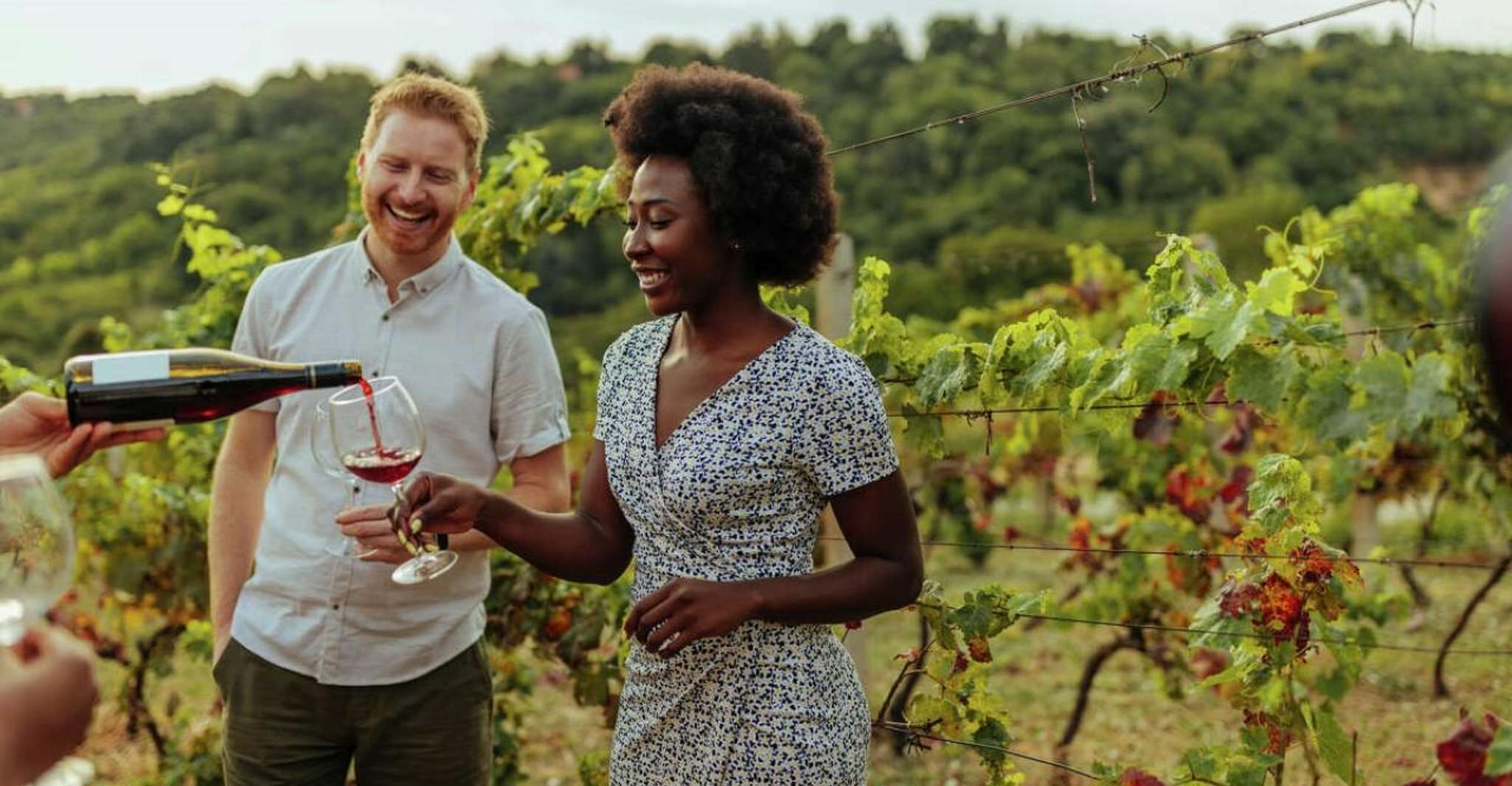 6 Stunden Weintour - Hizvo