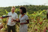 Tour del vino di 6 ore - Hizvo