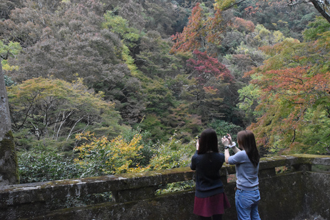 Marche dans la forêt de Mino à Osaka et chute d&#039;eau géante avec déjeuner local