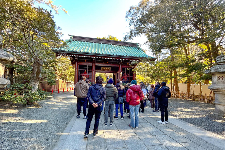 Japan Wonders: A 10-Day Adventure Japan Wonders