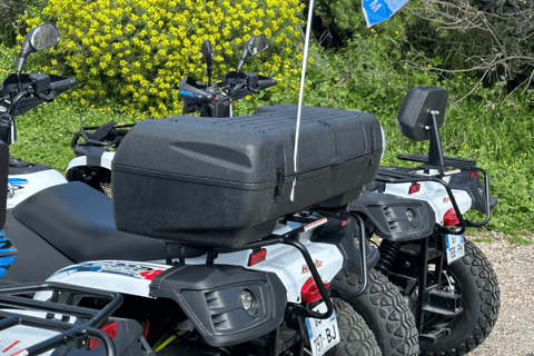 NICE BY ELECTRIC QUAD: panoramische tocht vanuit Nice met snack