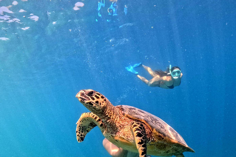 Gili Trawangan: 3-Island Snorkeling Tour with GoPro Photos