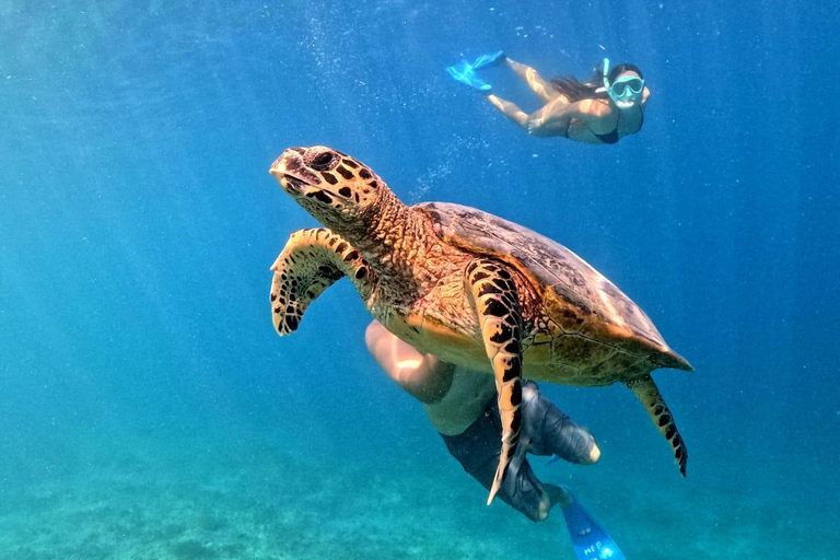 Gili Trawangan: 3-Island Snorkeling Tour with GoPro Photos