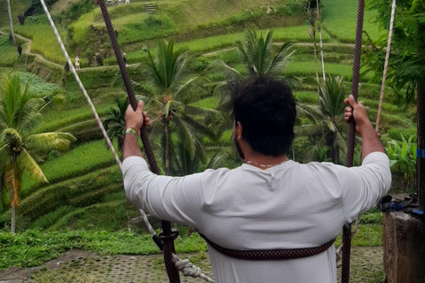 Ubud: foresta delle scimmie, terrazzamenti di riso e cascata