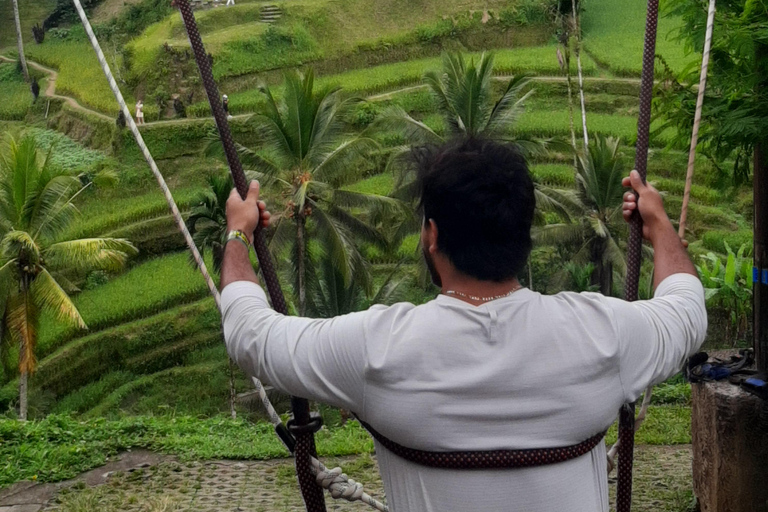 Ubud: foresta delle scimmie, terrazzamenti di riso e cascata