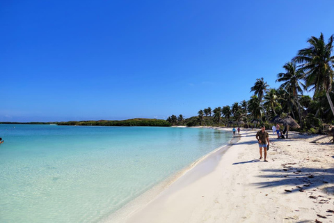 Isla Contoy Tour from Isla Mujeres and Cancun Isla Contoy Tour from Isla Mujeres
