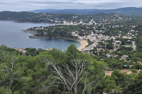 Girona, Tossa de Mar, and Empordà Wine Tour