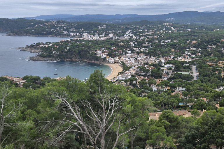 Girona, Tossa de Mar, and Empordà Wine Tour