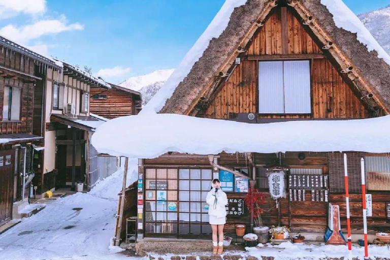 Shirakawa-go Snow Illumination Festival Tour from Nagoya VIP Small group up to 9-guests